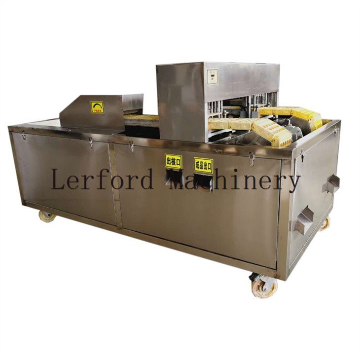 olive pit remover machine