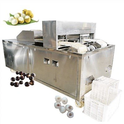 Longan Pitting Machine