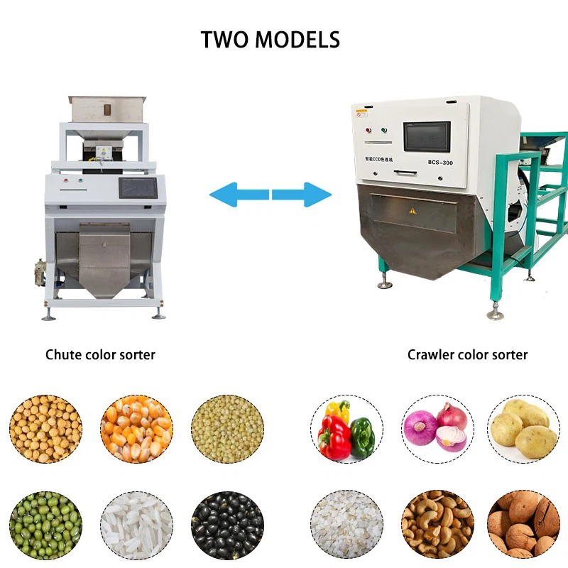 Grain Color Sorter factory